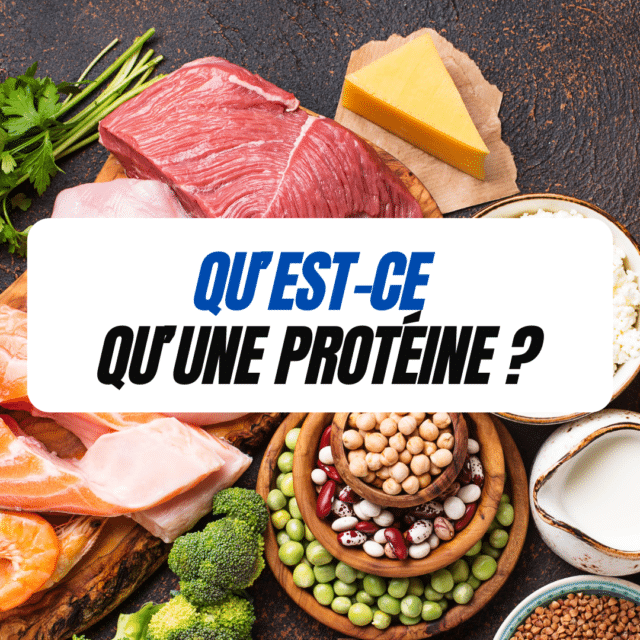 Qu’est-ce qu’une protéine ?