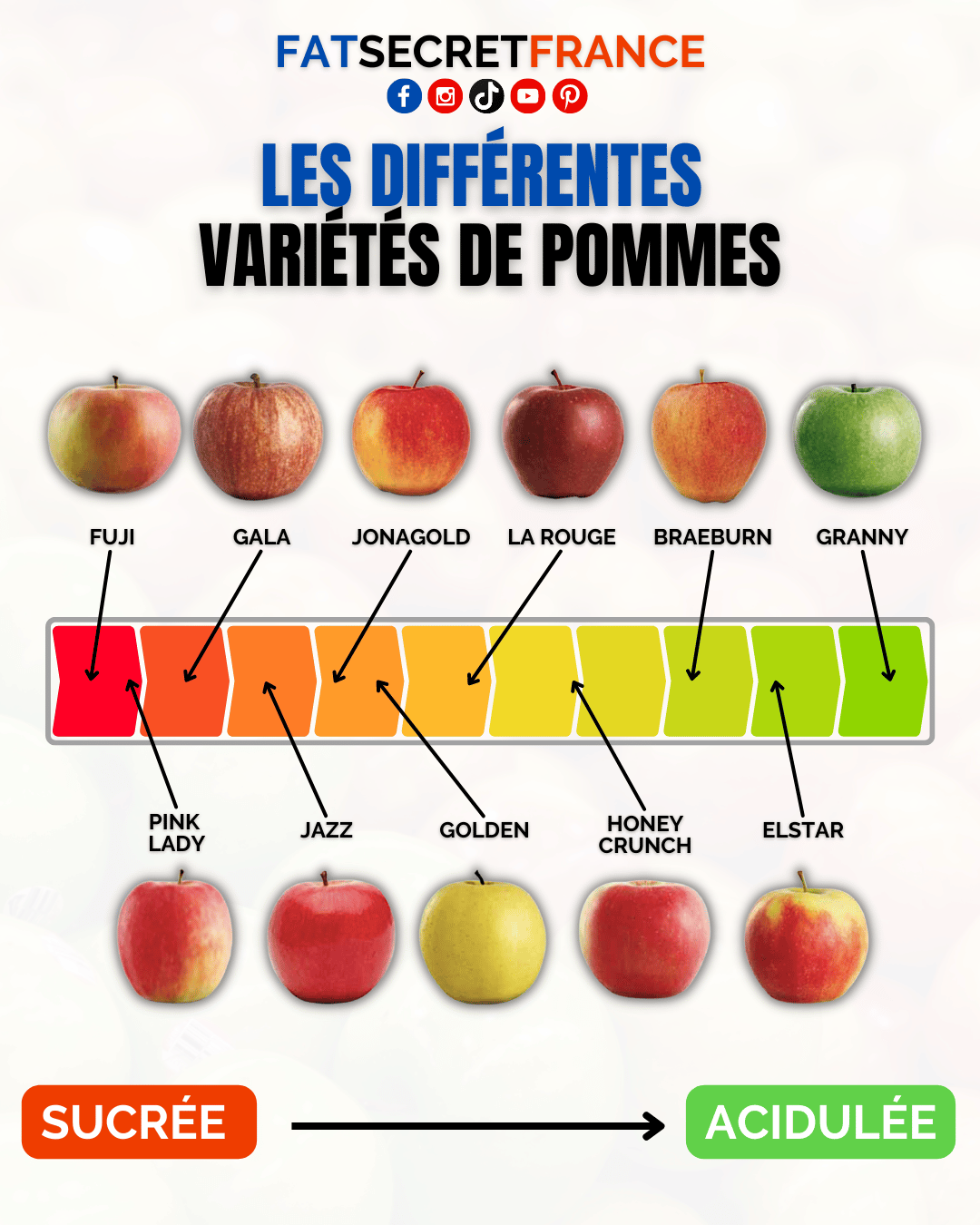 Les différentes variétés de pommes - Fatsecretfrance