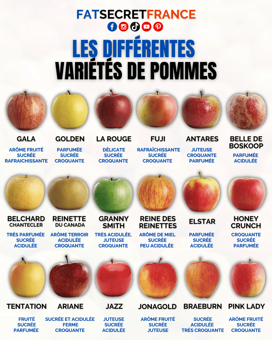 Les différentes variétés de pommes - 1