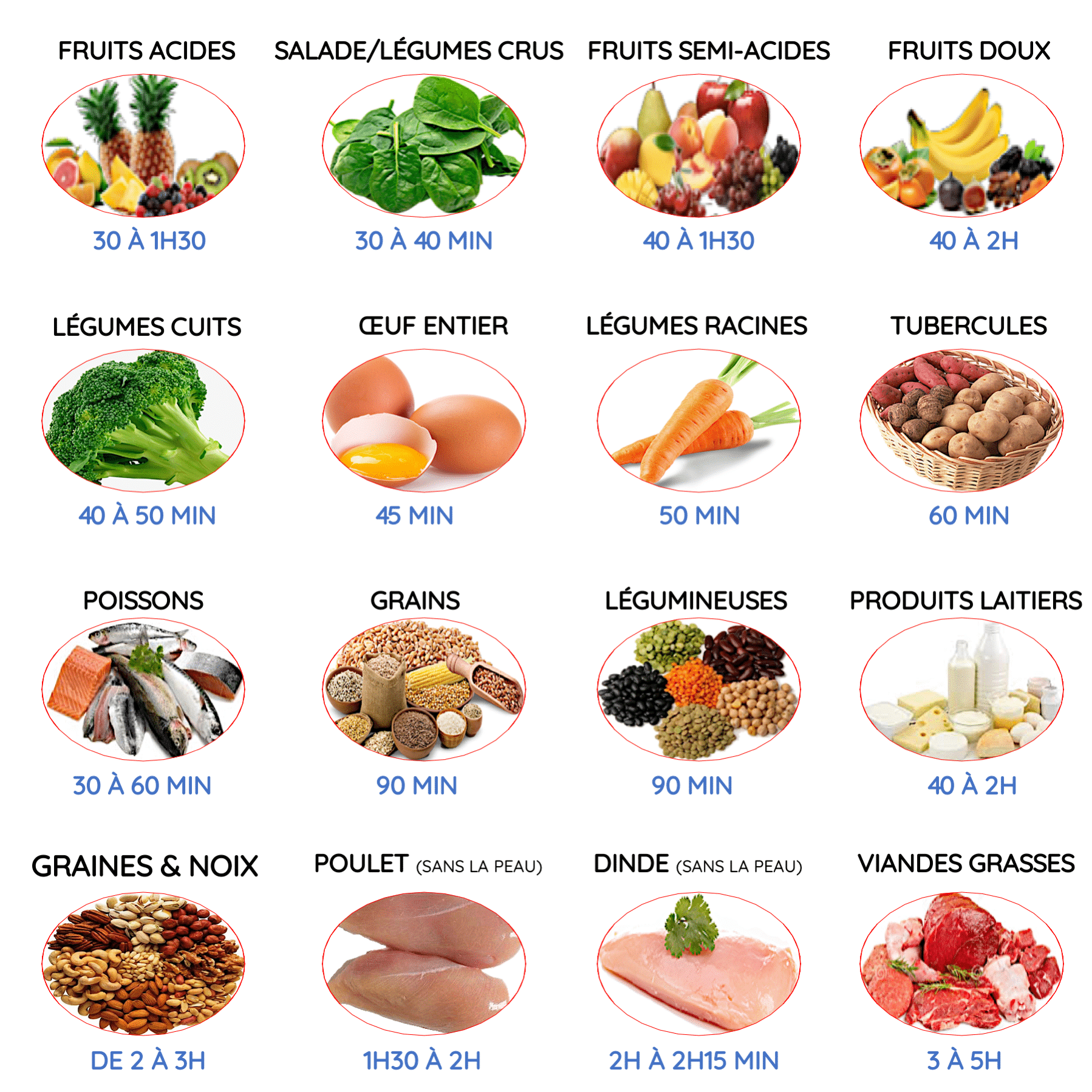 Ce tableau ci-dessous, indique les aliments et le temps de la digestion des aliments moyen. 